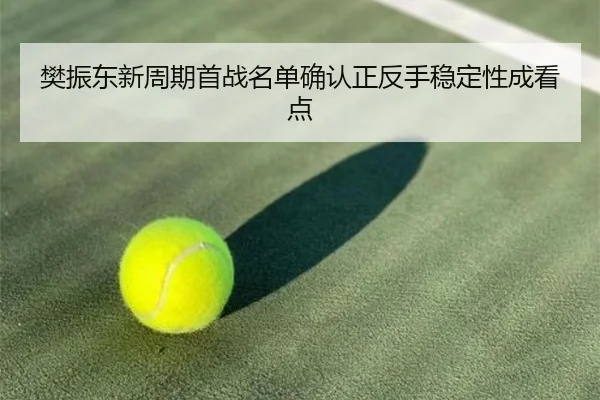 樊振东新周期首战名单确认正反手稳定性成看点